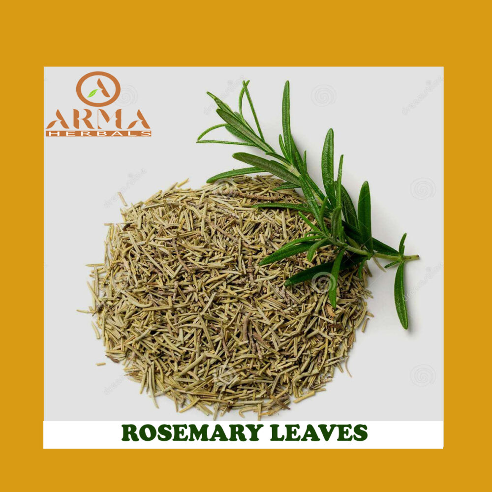 ROSEMARY LEAVES